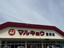 サンキ鳥栖店(ショッピングセンター/アウトレットモール)まで2823m フルール A棟