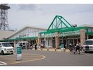 サニー鳥栖店(スーパー)まで924m リベルタ鳥栖駅前