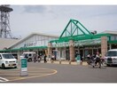 サニー鳥栖店(スーパー)まで1447m E.POPULARⅡ