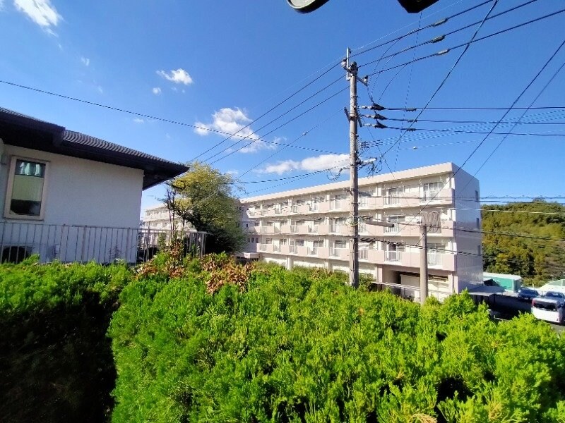 ｖ※別号室の写真になります。 セジュールHAMA　A