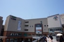 ココカラファイン長崎アミュプラザ店(ドラッグストア)まで485m ラフィネ五島
