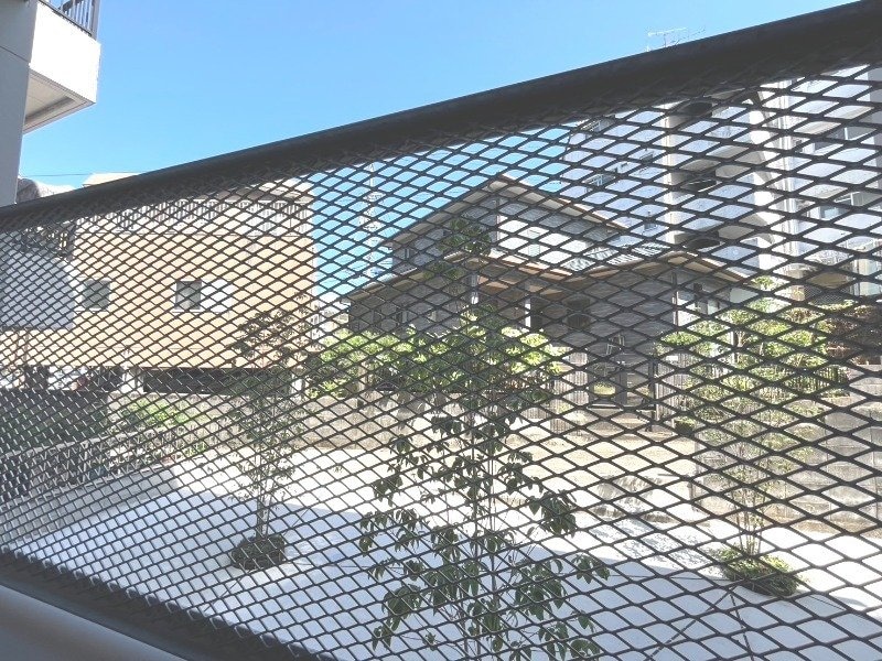  con te partiro 春木