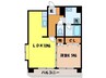 ステーションプラザ 1LDKの間取り