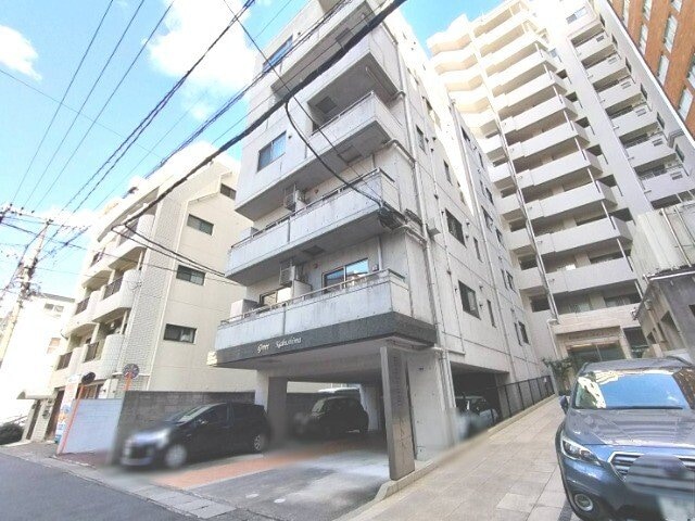  グリート樺島
