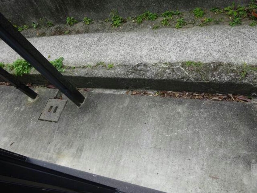  サウスタウン雄飛