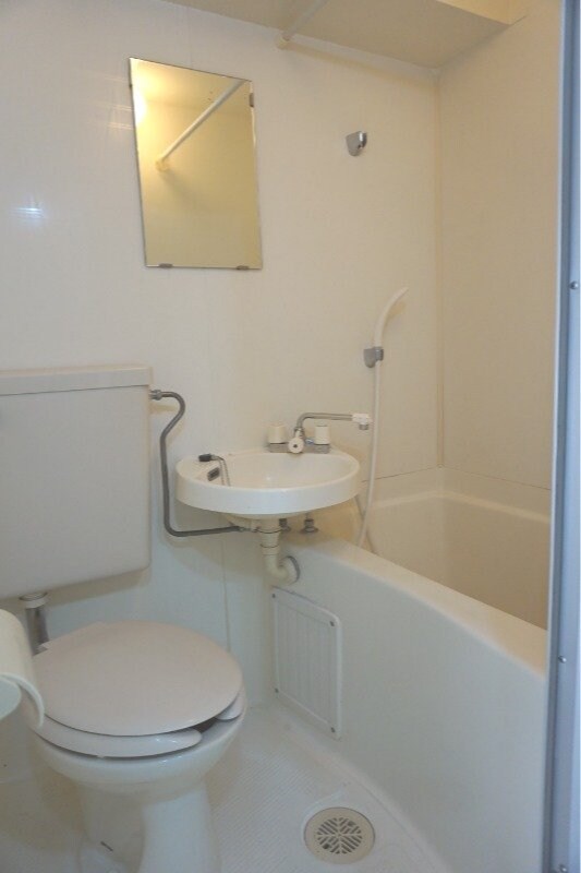  ドルフィン大浦