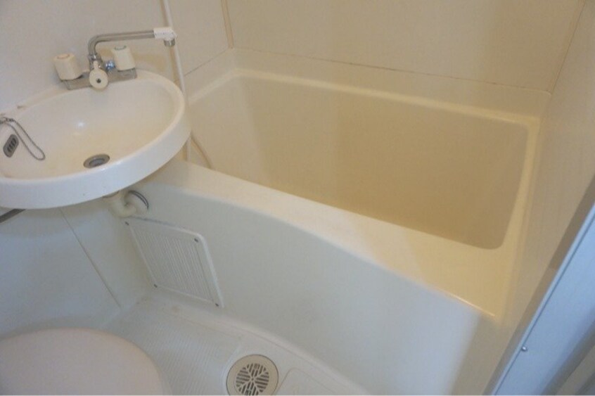  ドルフィン大浦