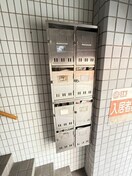  ベルシティブルナス