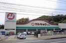 マルキョウ時津店(スーパー)まで888m 高柳コーポ