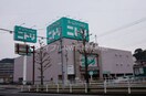 ニトリ長崎時津店(電気量販店/ホームセンター)まで803m セジュールTAKAISHI