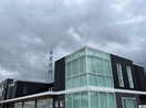 ダイソー長崎浜の町店(電気量販店/ホームセンター)まで567m プロムナード・デザングレ雪屋