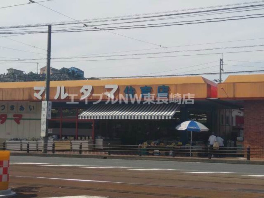 長崎マルタマ住吉店(スーパー)まで409m 長崎市電１系統<長崎電気軌道>/長崎大学駅 徒歩7分 1階 築28年