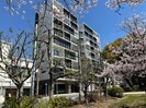 長崎市電３系統<長崎電気軌道>/桜町駅 徒歩4分 7階 1年未満の外観