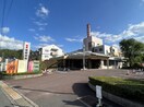 ダイソーイオン東長崎店(電気量販店/ホームセンター)まで1033m ベルチェドマーニ