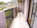 ※別号室の写真です いちごウィル