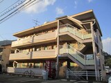 ウィンダム界