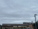 セブンイレブン長崎総合科学大学前店(コンビニ)まで360m 長崎本線/現川駅 徒歩75分 1階 築8年