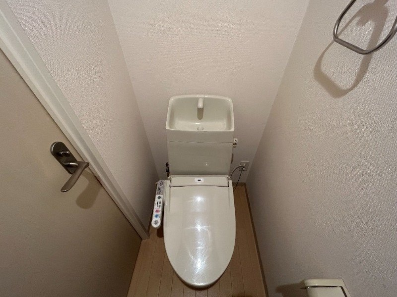  ラトゥール若葉