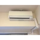  ラトゥール若葉