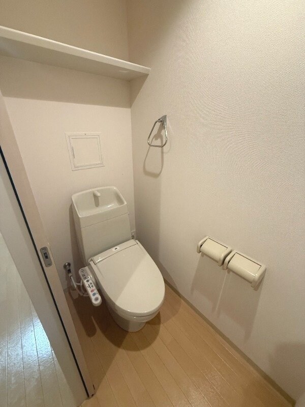  ラトゥール若葉