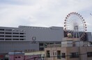 Seriaみらい長崎ココウォーク店(電気量販店/ホームセンター)まで408m グランアズール浦上