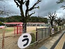 諫早市立太陽保育所(幼稚園/保育園)まで1208m ロイヤルガーデン白岩　A棟