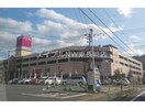 イオン時津店(スーパー)まで903m 長崎本線/高田駅 徒歩34分 3階 築23年