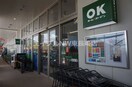 OKホーム＆ガーデンララプレイス愛宕店(電気量販店/ホームセンター)まで1136m 長崎市電１系統<長崎電気軌道>/崇福寺駅 徒歩21分 1階 築18年