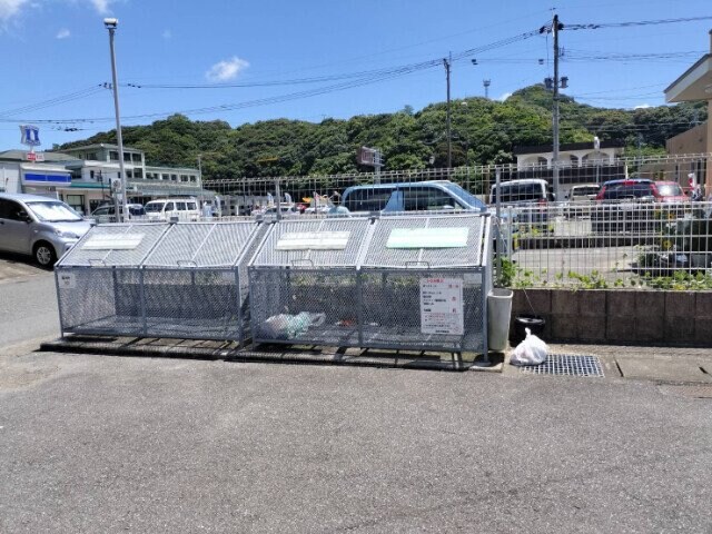  ベル フェリシア