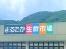 まるたか生鮮市場多良見店(スーパー)まで1150m ルヴニール
