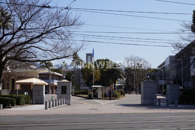 国立長崎大学(大学/短大/専門学校)まで750m Y&Tビル