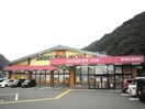 ドラッグストアモリ三川店(ドラッグストア)まで1300m ノィブリーゼ