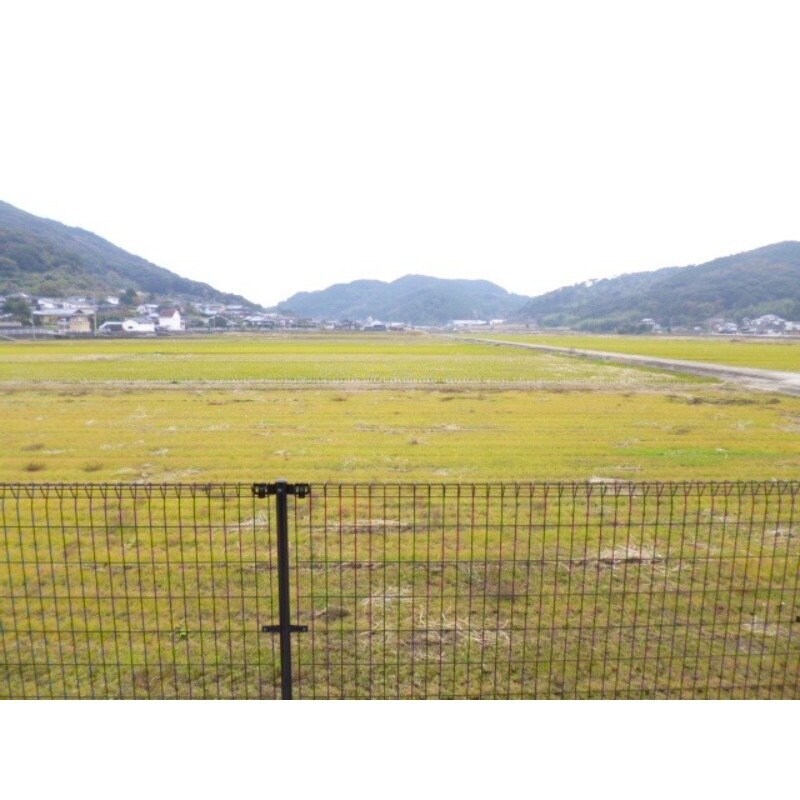 ※同タイプ別号室のお写真です クラリティ