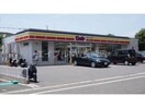 デイリーヤマザキ長崎平野町店(コンビニ)まで372m サニーハイツ