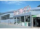 ジョイフルサン木鉢店(スーパー)まで1888m YUIビル