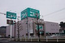 ニトリ長崎時津店(電気量販店/ホームセンター)まで836m ゆたりハイツ