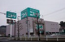 ニトリ長崎時津店(電気量販店/ホームセンター)まで1757m ソレイユ