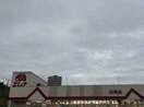 エレナ日見店(スーパー)まで1869m コール・フェリーチェ