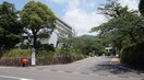 国立長崎大学医学部(大学/短大/専門学校)まで211m シャル夢セブン