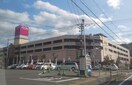 イオン時津店(スーパー)まで798m ディアス・コージ