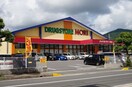 ドラッグストアモリ時津店(ドラッグストア)まで734m ディアス・コージ