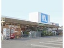 ホームプラザナフコ琴海店（資材館）(電気量販店/ホームセンター)まで2191m 長崎バス/江崎 1階 築17年