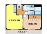 ピアレスＭ 1LDKの間取り