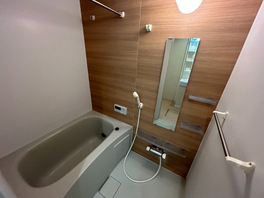  ラトゥール若葉