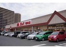 エレナ福田店(スーパー)まで739m COURAGE