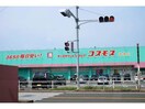 ディスカウントドラッグコスモス時津店(ドラッグストア)まで1373m サニーフラワーハウス