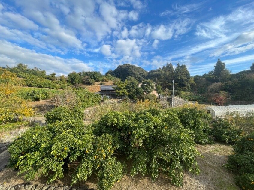  長崎本線/本川内駅 徒歩12分 2階 築38年