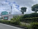 ダイソーイオン東長崎店(電気量販店/ホームセンター)まで770m メゾンド山下Ⅲ