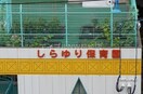 しらゆり保育園(幼稚園/保育園)まで395m サンガーデン恵美須