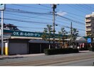 OKホーム＆ガーデン住吉店(電気量販店/ホームセンター)まで275m 第一ハタビル L・FLORE